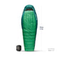 15°F / Regular || Ascent Down Sleeping Bag