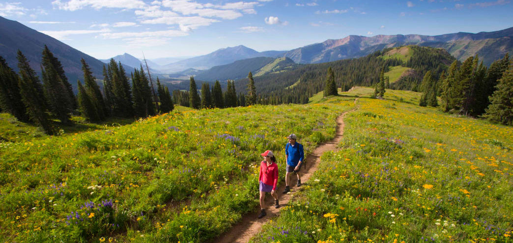 Two hikers walk along a narrow dirt trail through a vibrant alpine meadow