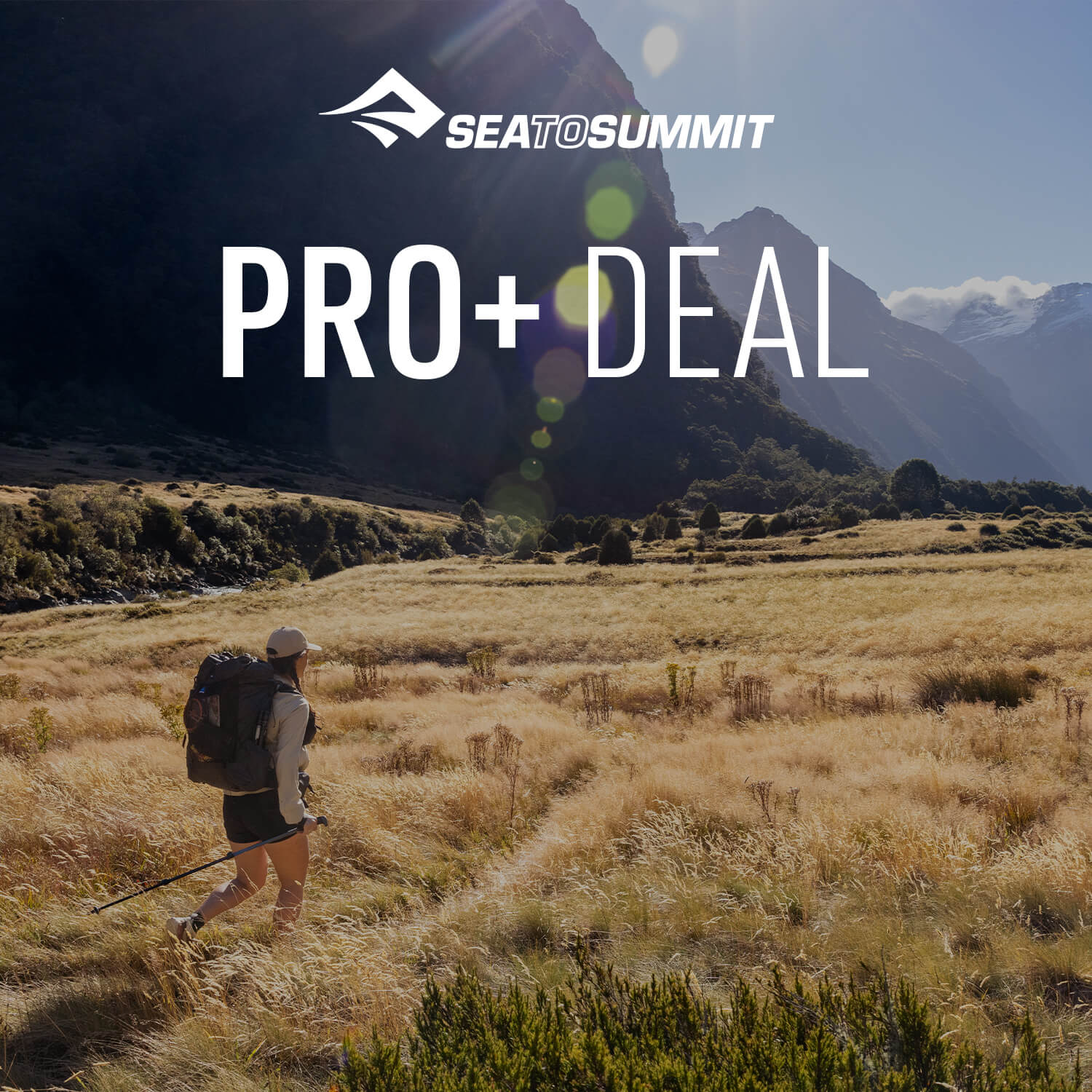 Pro+ Deal